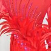 Red ballroom and smooth dance dress with feathers - Image 3