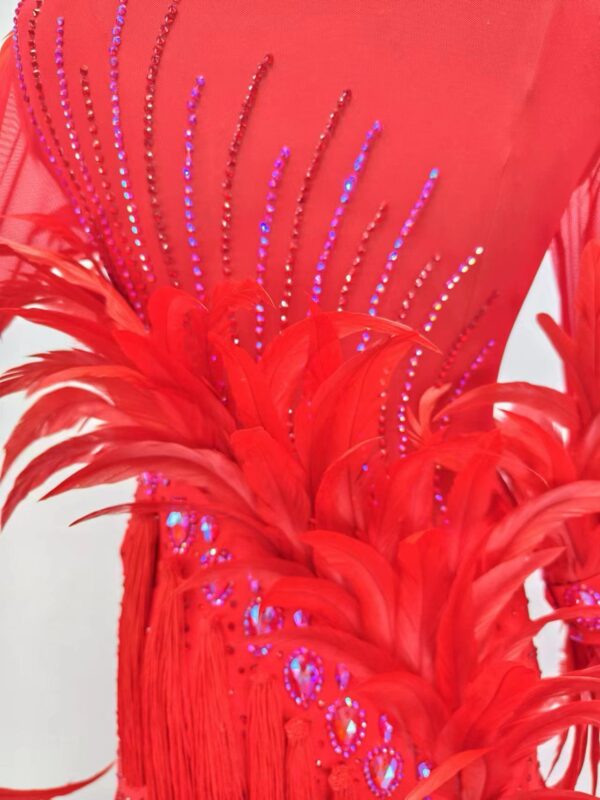 Red ballroom and smooth dance dress with feathers - Image 3