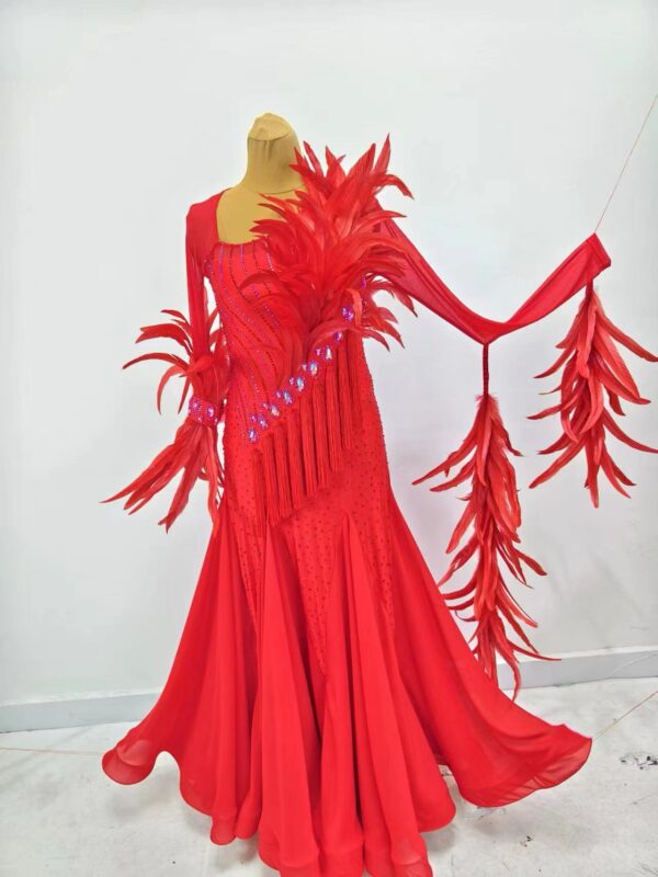 Red ballroom and smooth dance dress with feathers