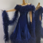 Ballroom and Smooth Dance Dress with