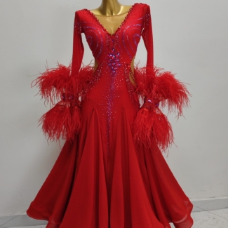 Red ballroom and smooth dance dress