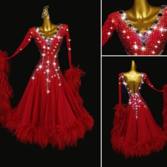 Red Ballroom and Smooth Dance Dress