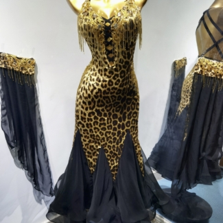 Ballroom and Smooth Dance Dress