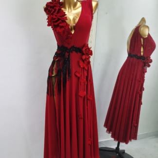 Ballroom and Smooth Dance Dress with Flowers