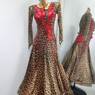 Ballroom and Smooth Dance Dress