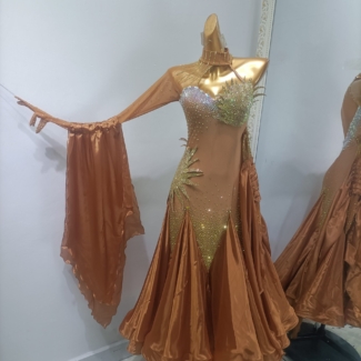 Bronze Ballroom and Smooth Dance Dress