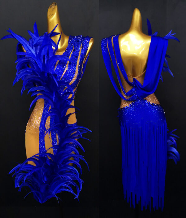 Blue striped Latin dance dress with feathers