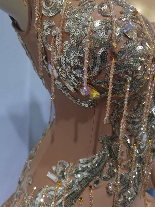 Bronze Latin dance dress embroidered with sequins, beaded fringe and organza skirt - Image 3