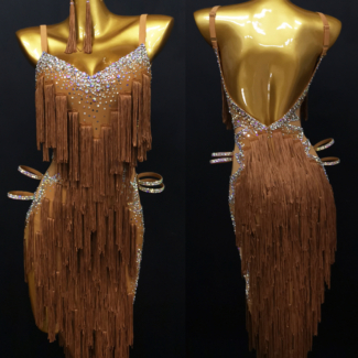 Brown Fringe Latin Dance Dress with