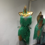 Fringe Latin Dance Dress with Nude Base