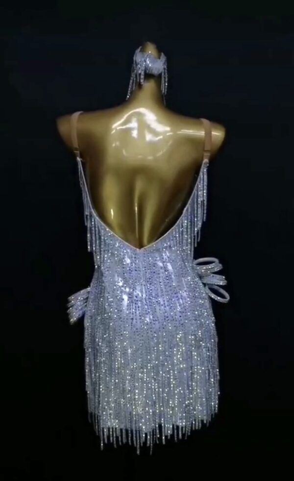 Silver Latin and Rhythm dance dress with stoned fringe - Image 2