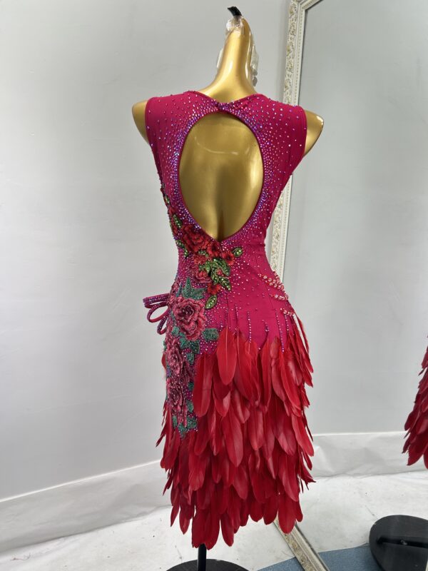 Cherry red Latin and Rhythm dance dress with feathers and embroideries - Image 2