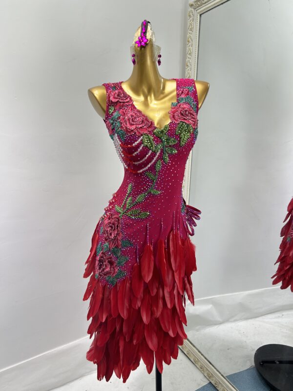 Cherry red Latin and Rhythm dance dress with feathers and embroideries