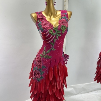 Dance Dress with Feathers