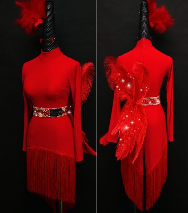Red Latin and Rhythm dance dress with fringe and feathers - Image 3