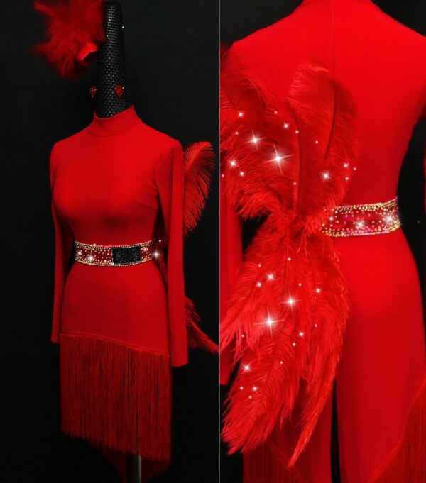 Red Latin and Rhythm dance dress with fringe and feathers - Image 2