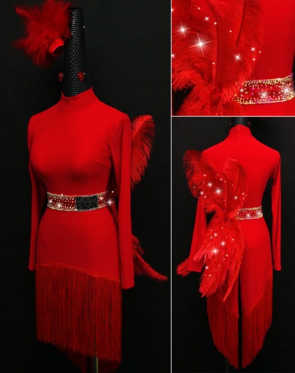 Red Latin and Rhythm dance dress with fringe and feathers