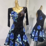 Black Velvet Latin and Rhythm Dance Dress