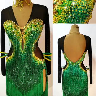Latin and Rhythm Dance Dress