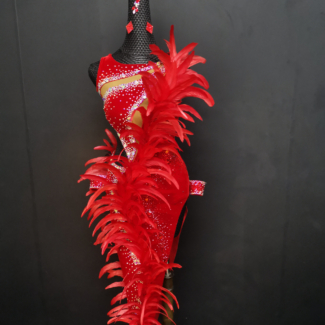 red Latin and Rhythm dance dress