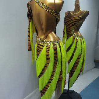 Latin and Rhythm Dance Dress