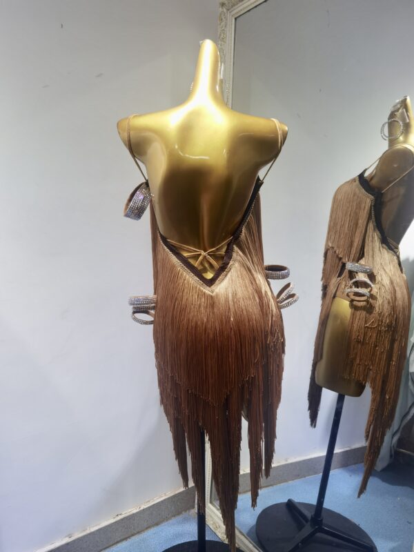 Brown Latin and Rhythm dance dress with fringe - Image 2